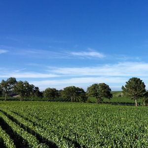 Meet your Posher, Edward